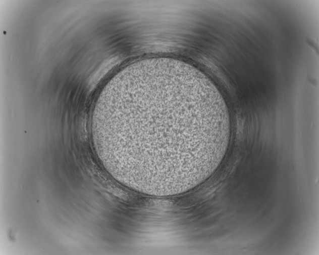 X0000102230878200808151727