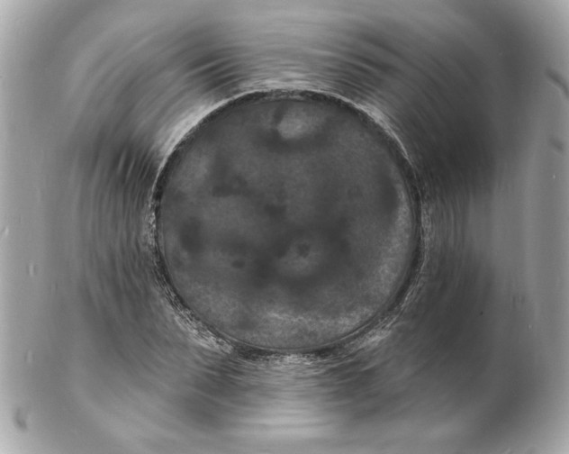X0000102230879200808151727