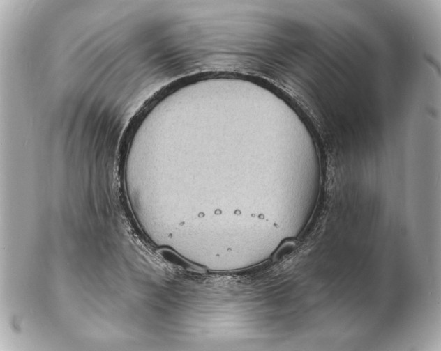 X0000102230880200808151727