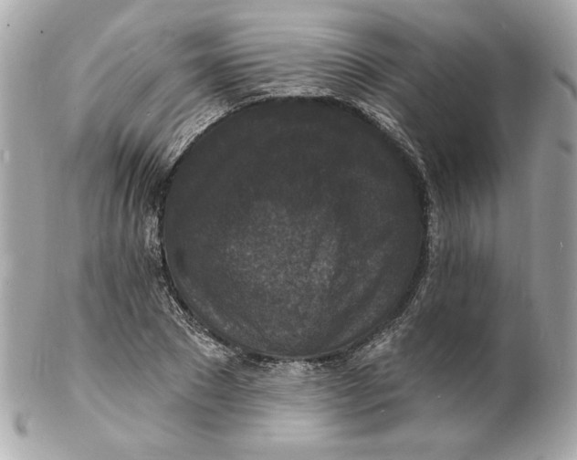 X0000102230881200808151727