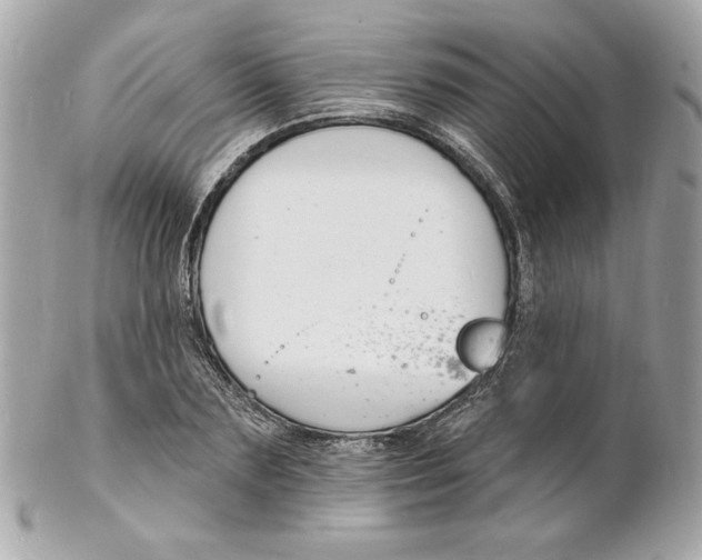 X0000102230883200808151727