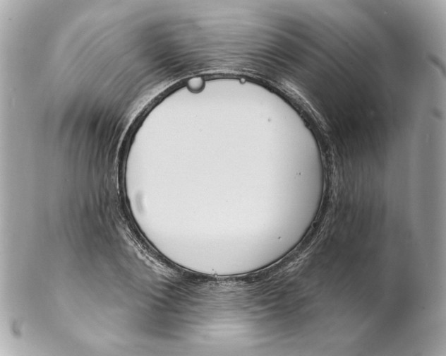 X0000102230884200808151727