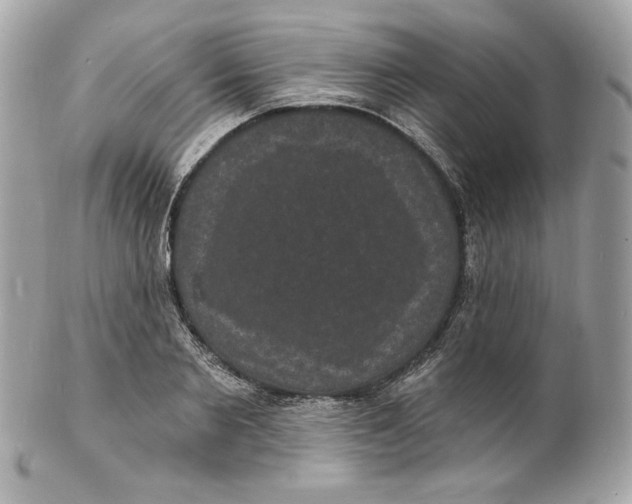 X0000102230885200808151727