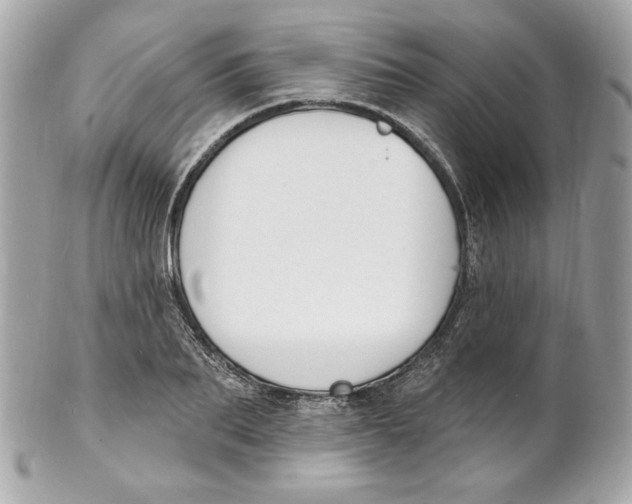 X0000102230887200808151727