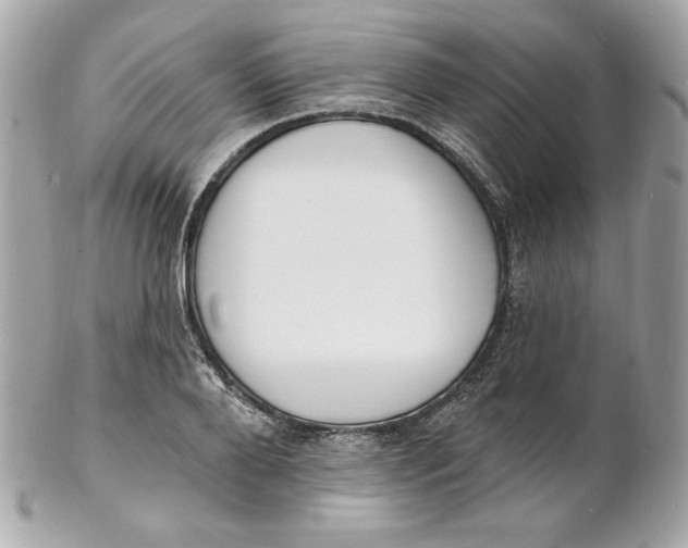 X0000102230888200808151727
