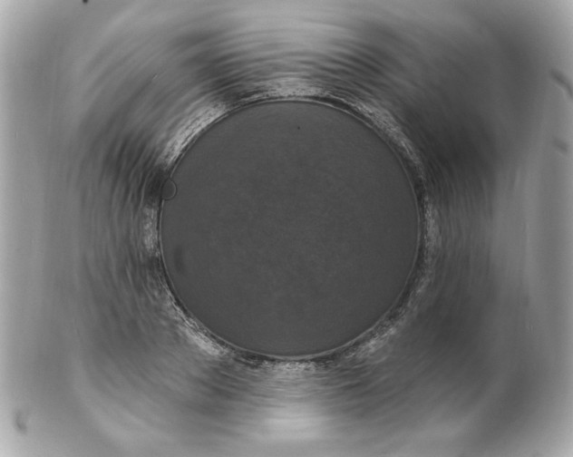 X0000102230889200808151727