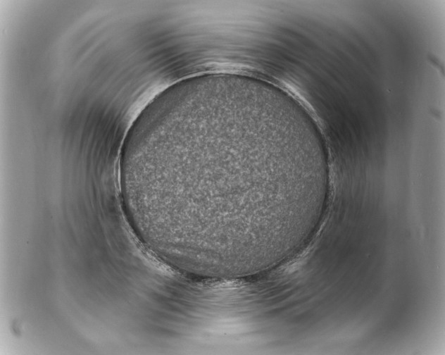 X0000102230891200808151727