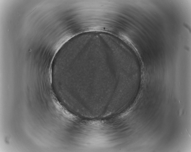 X0000102230892200808151727