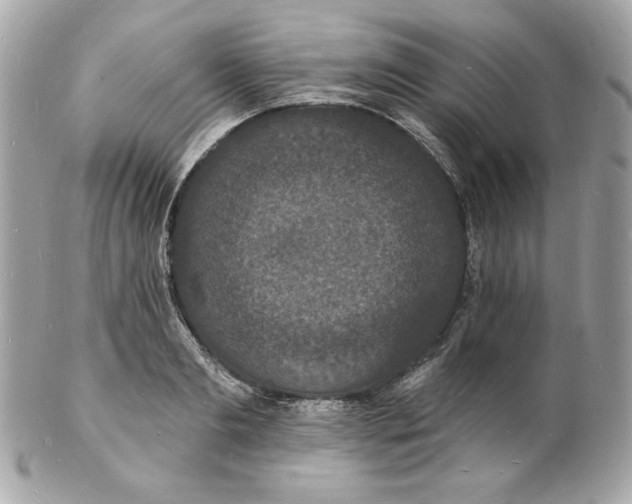 X0000102230893200808151727