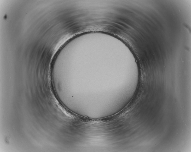 X0000102230894200808151727