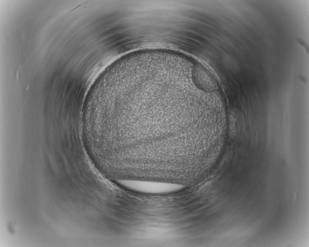 X0000102230895200808151727