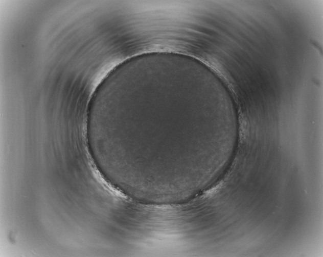X0000102230896200808151727