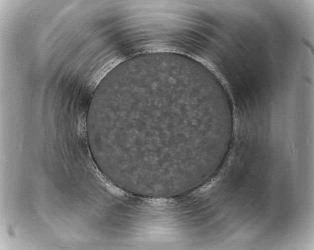 X0000102230897200808151727