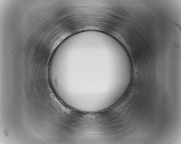 X0000102230898200808151727