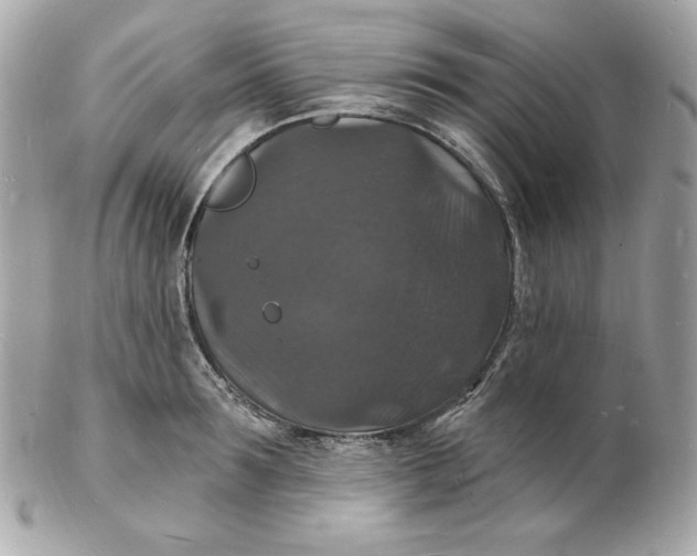 X0000102230899200808151727