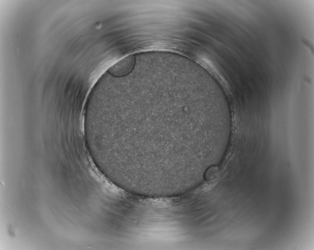 X0000102230900200808151727
