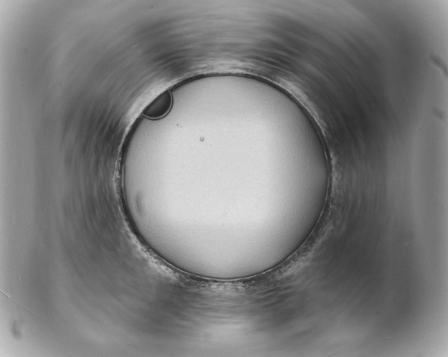 X0000102230901200808151727