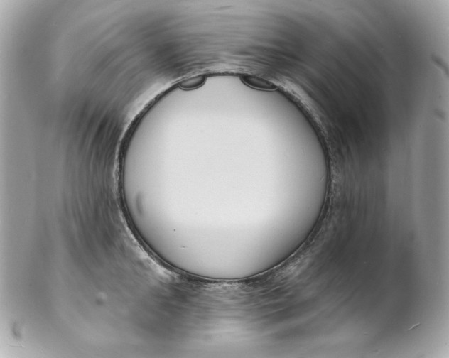 X0000102230902200808151727