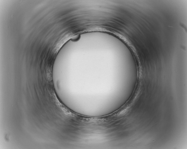 X0000102230905200808151727