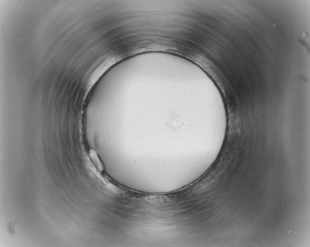 X0000102230906200808151727
