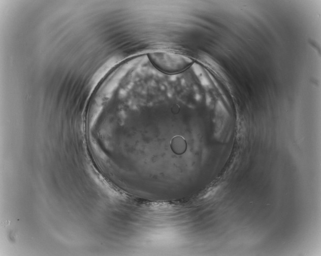X0000102230907200808151727
