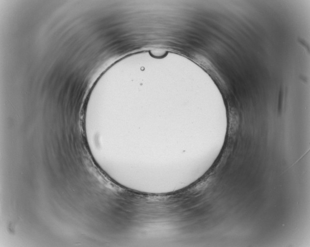 X0000102230908200808151727