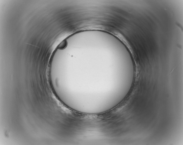 X0000102230909200808151726