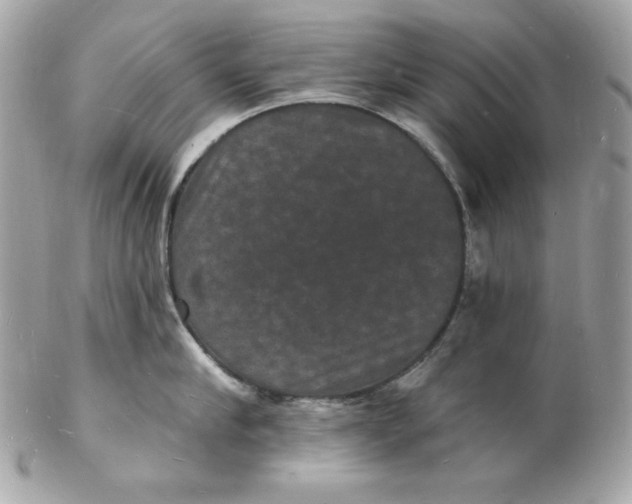X0000102230910200808151726