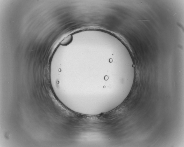 X0000102230911200808151726