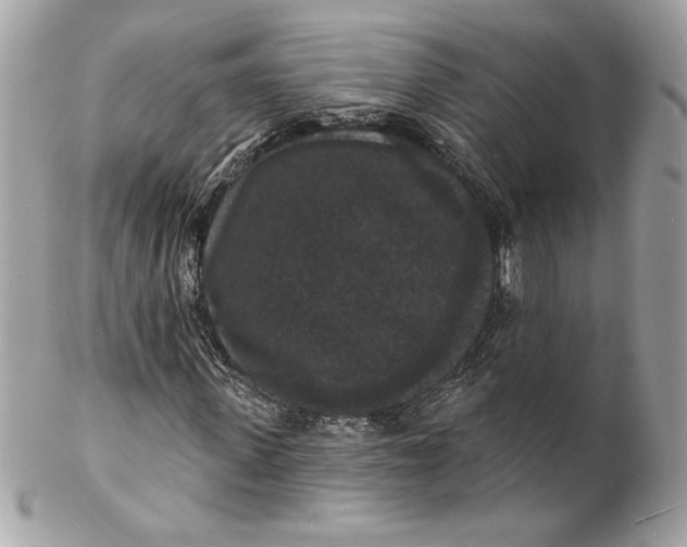 X0000102230915200808151726