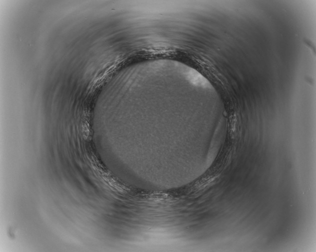 X0000102230916200808151726