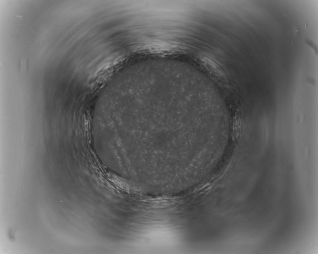 X0000102230917200808151726