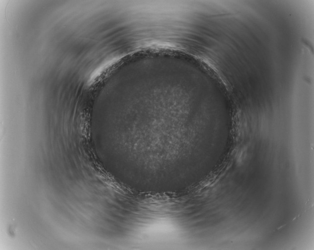 X0000102230919200808151726