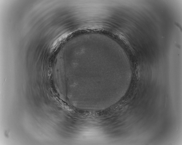 X0000102230920200808151726