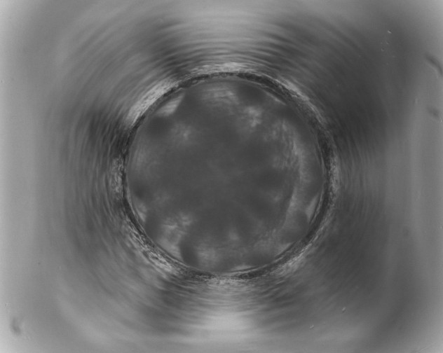 X0000102230921200808151726