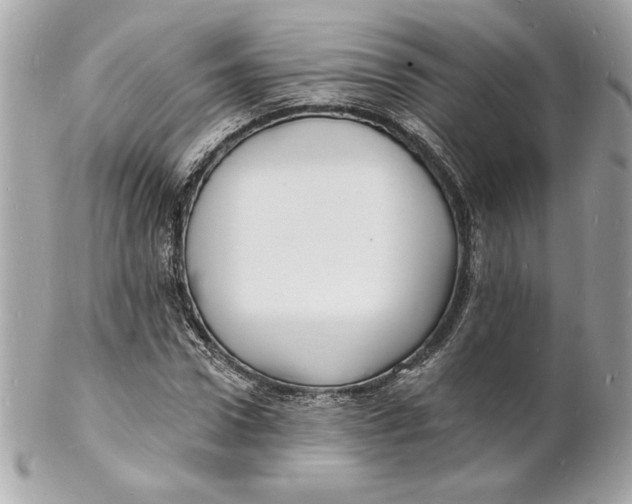 X0000102230922200808151726