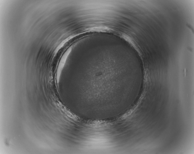 X0000102230923200808151726