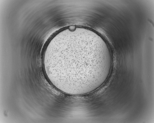 X0000102230924200808151726