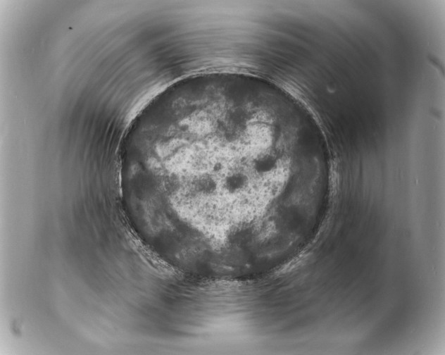 X0000102230925200808151726