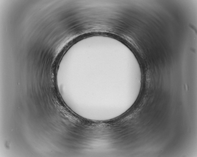 X0000102230926200808151726