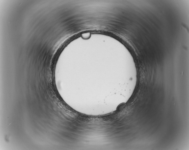 X0000102230927200808151726