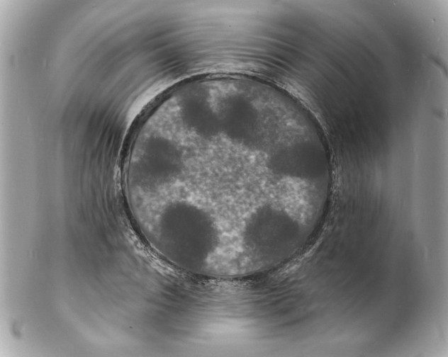 X0000102230928200808151726