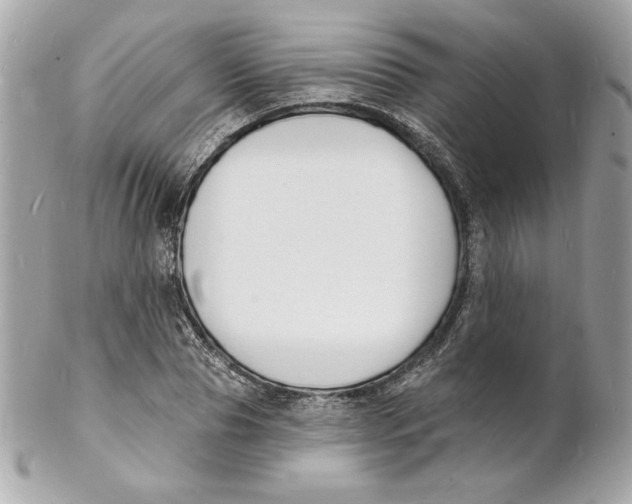 X0000102230929200808151726