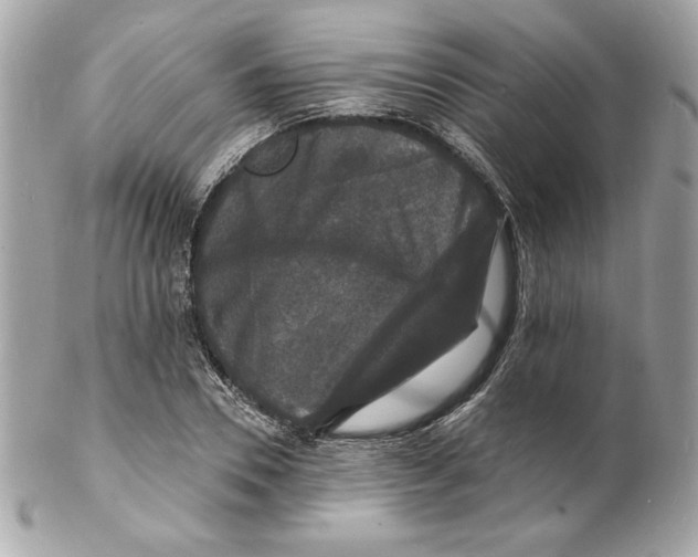 X0000102230930200808151726