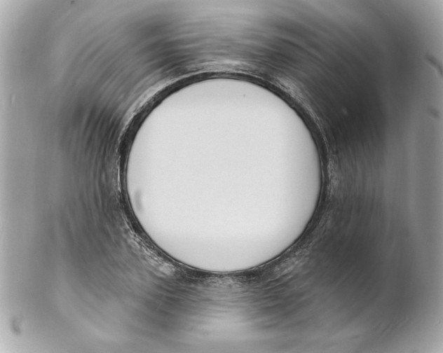 X0000102230931200808151726