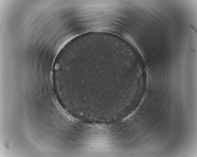 X0000102230932200808151726