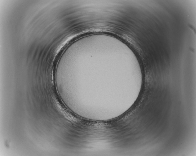 X0000102230934200808151726