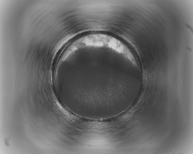 X0000102230935200808151726