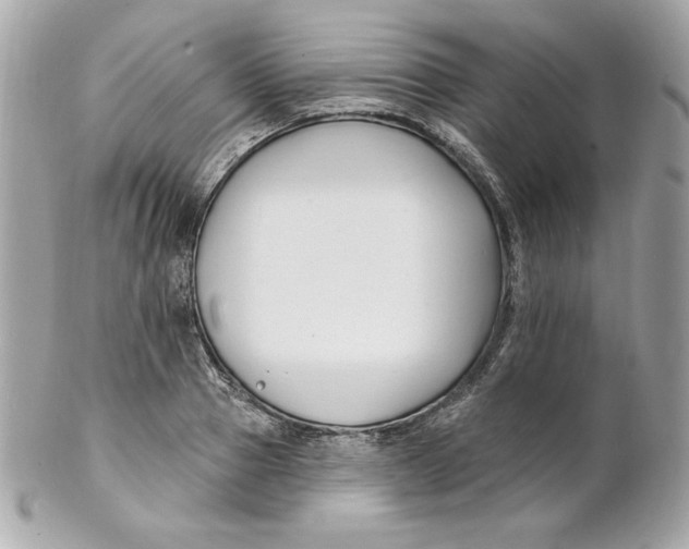 X0000102230937200808151726