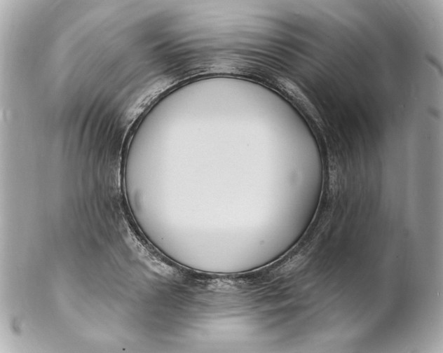 X0000102230938200808151726
